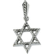 14K White 20.5x17.75 mm Star of David Pendant