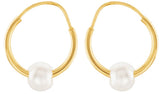 14K Yellow Cultured White Freshwater Pearl Hoop Earrings