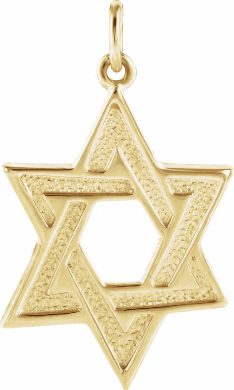 14K Yellow 23.7x17.5 mm Star of David Pendant