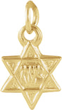 14K Yellow 7.5x7 mm Star of David Pendant 