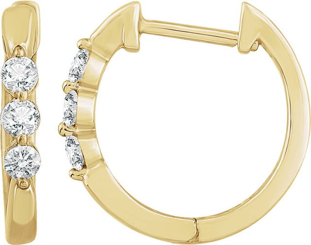 14K Yellow 1/4 CTW Natural Diamond 14 mm Hoop Earrings