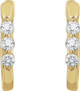 14K Yellow 1/4 CTW Natural Diamond 14 mm Hoop Earrings
