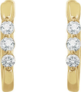 14K Yellow 1/4 CTW Natural Diamond 14 mm Hoop Earrings