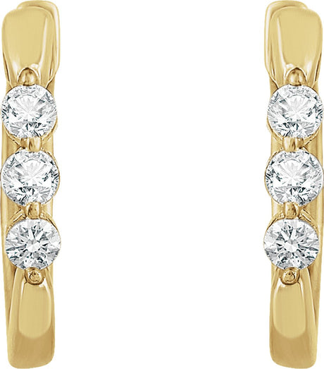 14K Yellow 1/4 CTW Natural Diamond 14 mm Hoop Earrings