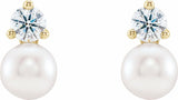 14K Yellow Gold Cultured White Freshwater Pearl & 1/2 CTW Natural Diamond Earrings