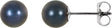 14K White Gold  6 mm Cultured Black Akoya Pearl Earrings