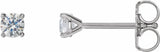 14K White Gold 1/4 CTW Lab-Grown Diamond 4-Prong Stud Earrings