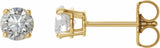 14K Yellow 3/4 CTW Natural Diamond Stud Earrings
