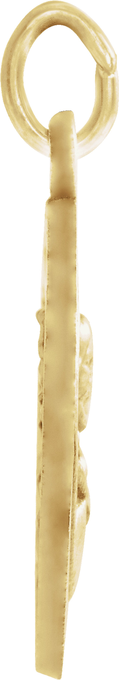 14K Yellow 12 mm Round Scapular Medal