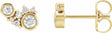14K Yellow Gold 1/4 CTW Natural Diamond Scattered Bezel-Set Earrings