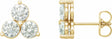 14K Yellow Gold 1/4 CTW Natural Diamond Three-Stone Earrings