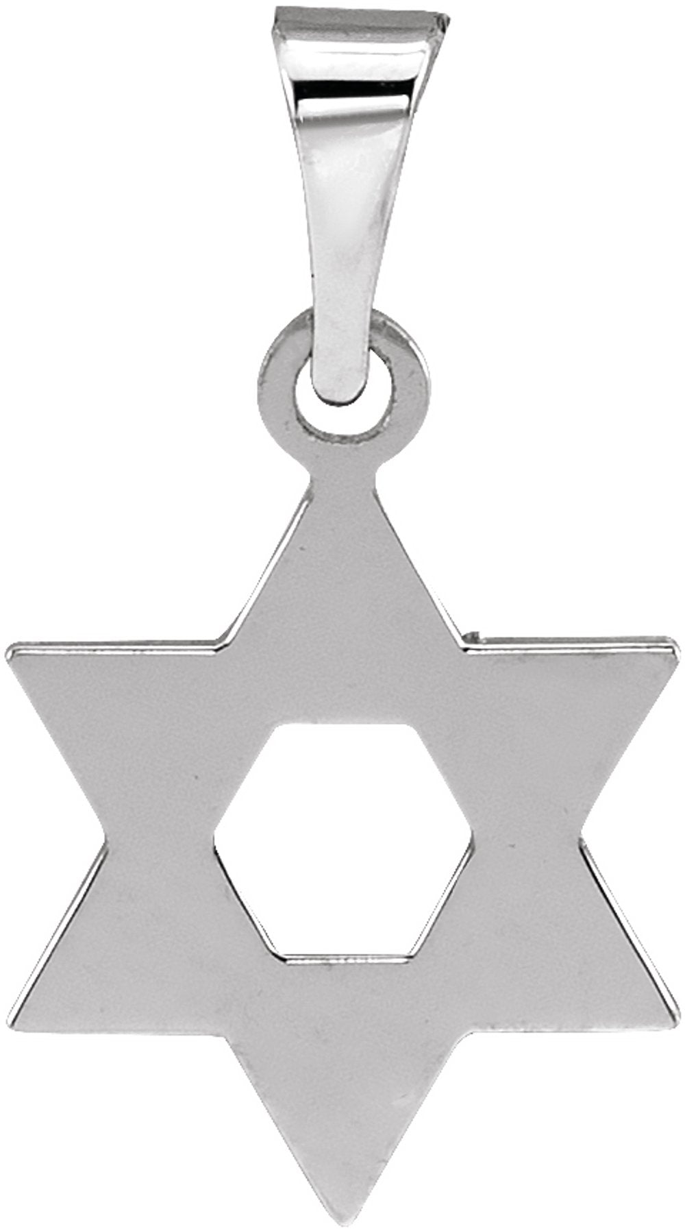 14K White 12x9 mm Star of David Pendant