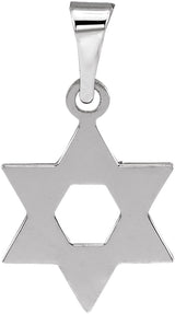 Sterling Silver 12x9 mm Star of David Pendant
