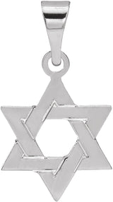 Sterling Silver 12x9 mm Star of David Pendant
