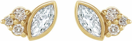 14K Yellow Gold 1/5 CTW Natural Diamond Earrings

