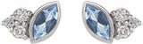 14K White Gold Natural Aquamarine & .05 CTW Natural Diamond Earrings
