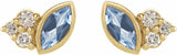 14K Yellow Gold Natural Aquamarine & .05 CTW Natural Diamond Earrings