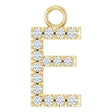 14K Yellow .06 CTW Natural Diamond Initial E Dangle