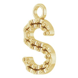 14K Yellow .05 CTW Natural Diamond Initial S Dangle