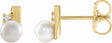 14K Yellow Gold Cultured White Akoya Pearl & .03 CTW Natural Diamond Geometric Earrings