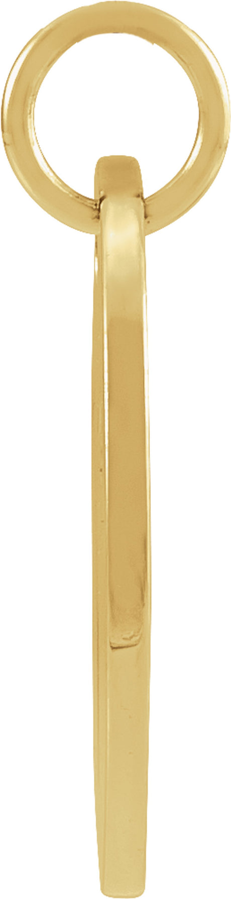 14K Yellow Gold 16.5 mm Aries Zodiac Disc Charm/Pendant