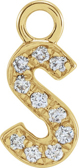 14K Yellow Petite Pavé™ .05 CTW Natural Diamond Initial S Dangle