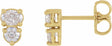 14K Yellow Gold 1/2 CTW Lab-Grown Diamond Two-Stone Earrings