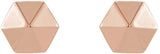 14K Rose Hexagon Earrings