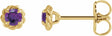 14K Yellow Gold 5 mm Natural Amethyst Claw-Prong Rope Earrings