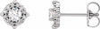 14K White Gold 1/6 CTW Natural Diamond Halo-Style Earrings