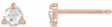 14K Rose Gold 1/8 CTW Rose-Cut Natural Diamond Stud Earrings