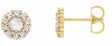 14K Yellow Gold 1/2 CTW Rose-Cut Natural Diamond Halo-Style Earrings