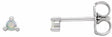 14K White Gold 2 mm Round Natural White Opal Earrings