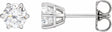 14K White Gold 1 CTW Lab-Grown Diamond Earrings
