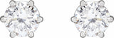 14K White Gold 1 CTW Lab-Grown Diamond Earrings