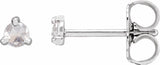 14K White Gold .08 CTW Rose-Cut Natural Diamond Stud Earrings