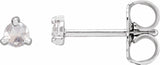 14K White Gold .08 CTW Rose-Cut Natural Diamond Stud Earrings
