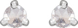 14K White Gold .08 CTW Rose-Cut Natural Diamond Stud Earrings