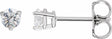 14K White Gold 1/3 CTW Natural Diamond Earrings
