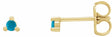 14K Yellow Gold 2 mm Round Natural Turquoise Earrings