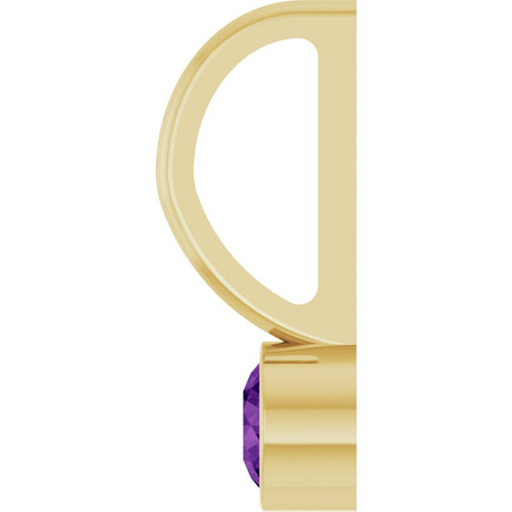 14K Yellow Gold Natural Amethyst Charm/Pendant