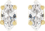 14K Yellow 1/4 CTW Natural Diamond Earrings