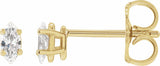 14K Yellow Gold 1/4 CTW Natural Diamond Earrings