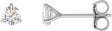 14K White Gold 1/3 CTW Lab-Grown Diamond Stud Earrings