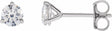 14K White Gold 1/2 CTW Lab-Grown Diamond Stud Earrings