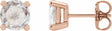 14K Rose 1/4 CTW Rose-Cut Natural Diamond Stud Earrings