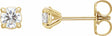 14K Yellow Gold 1/3 CTW Natural Diamond Cocktail-Style Earrings