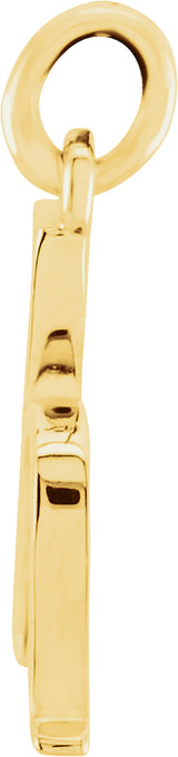 14K Yellow Gold Lowercase Initial h Charm/Pendant