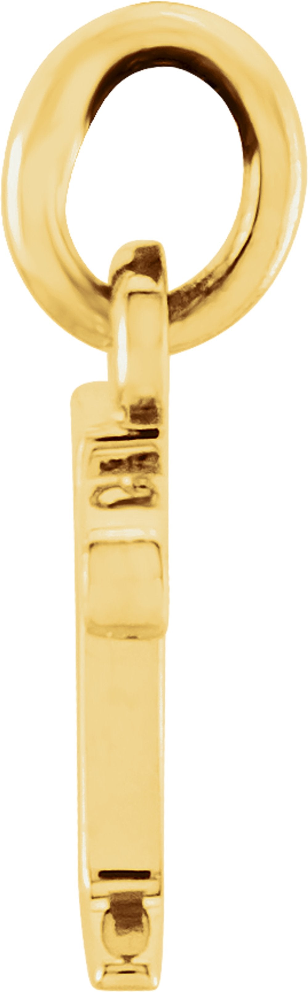14K Yellow Gold Lowercase Initial r Charm/Pendant