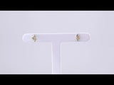 14K Yellow Gold .03 CTW Natural Diamond Starburst Earrings
